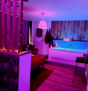 Superbe appartement Colmar avec vue et Jacuzzi